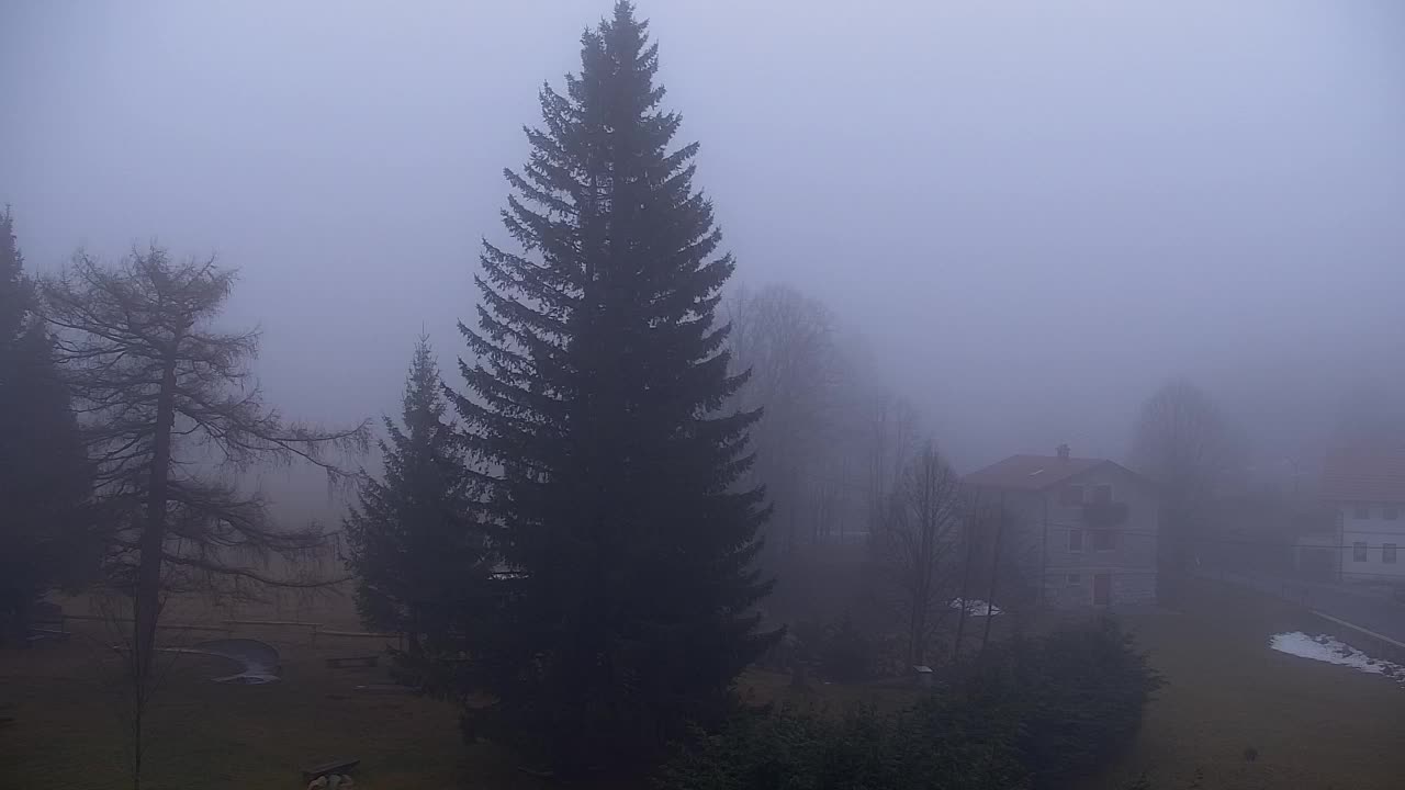 Webcam Lokve – La beauté de la forêt de Trnovo