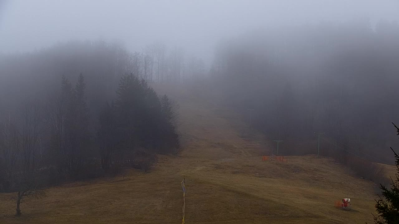 Webcam Lokve – The beauty of the Trnovo forest