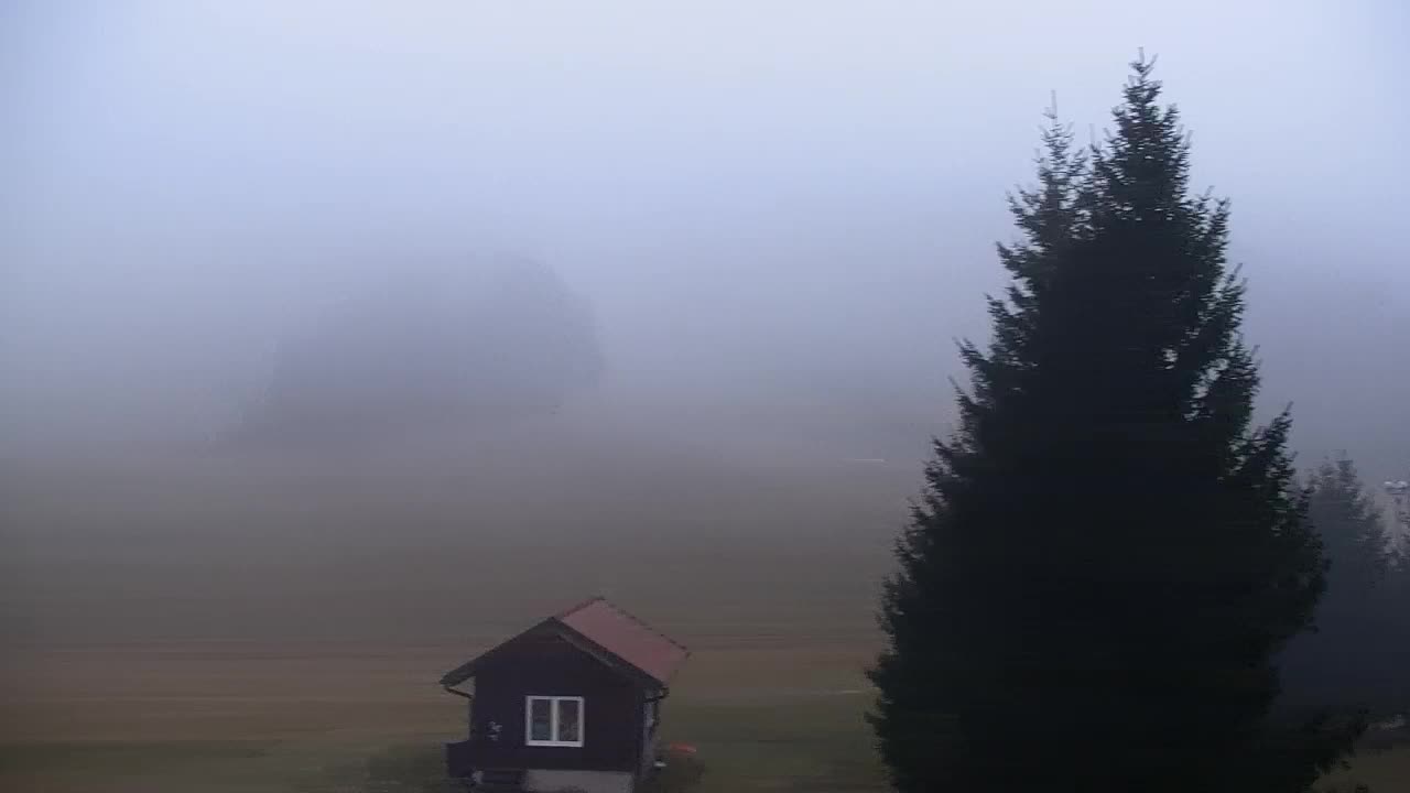 Webcam Lokve – La beauté de la forêt de Trnovo