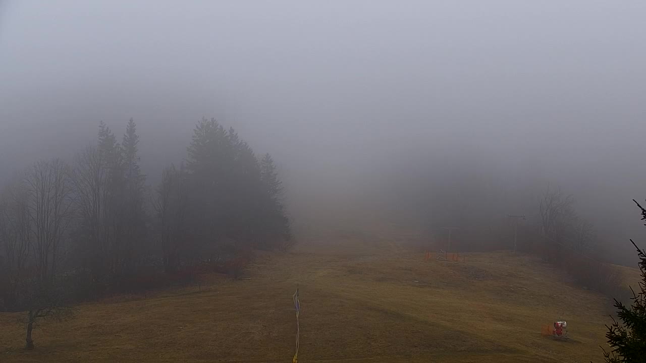 Webcam Loqua / Lokve – La bellezza della selva di Tarnova