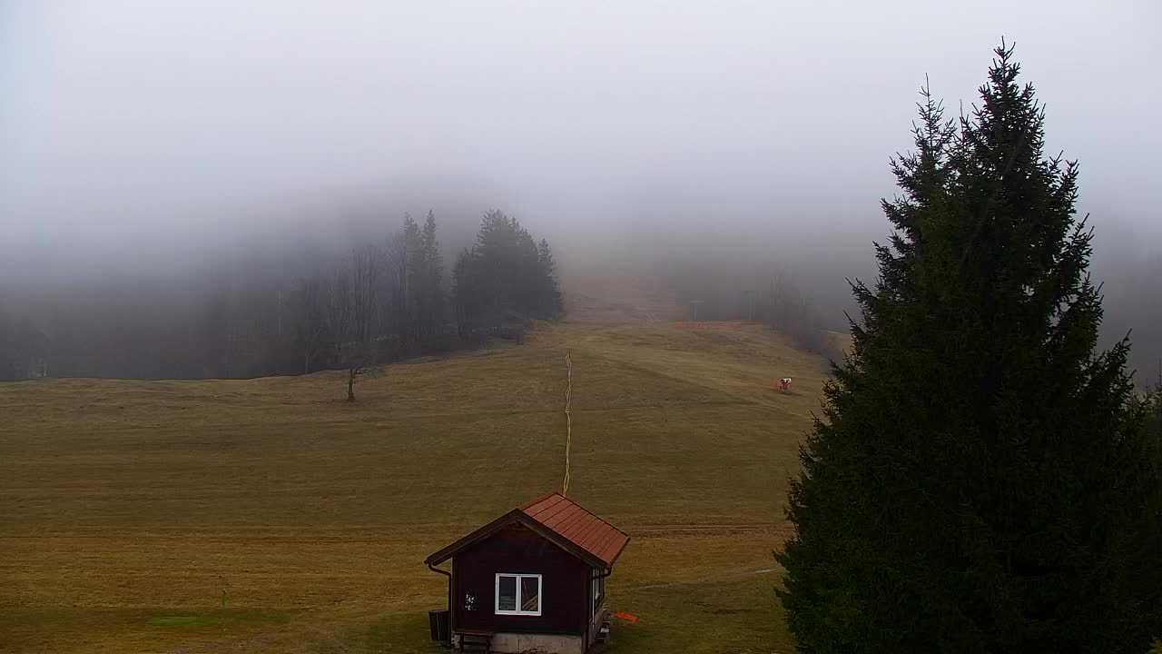 Webcam Lokve – The beauty of the Trnovo forest