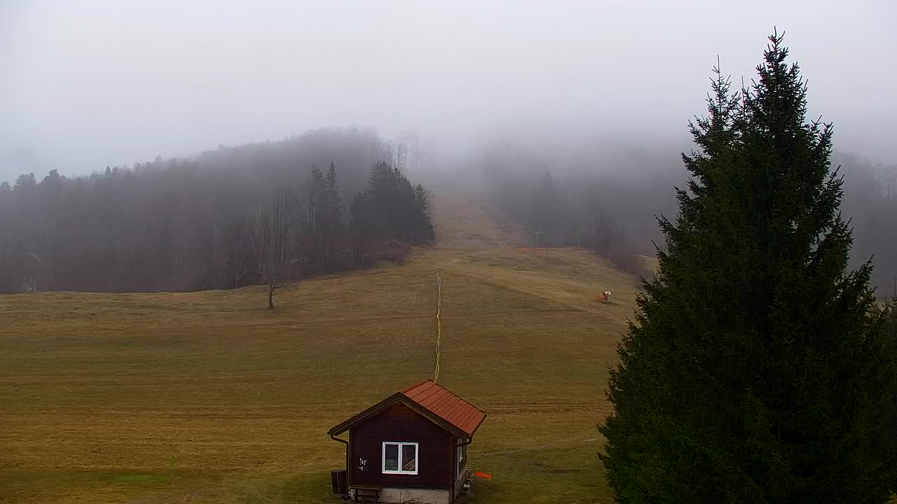 Webcam Loqua / Lokve – La bellezza della selva di Tarnova