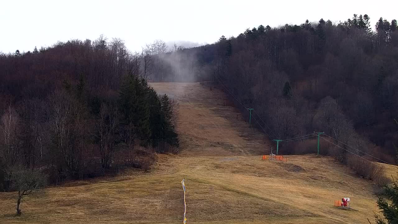 Webcam Lokve – The beauty of the Trnovo forest