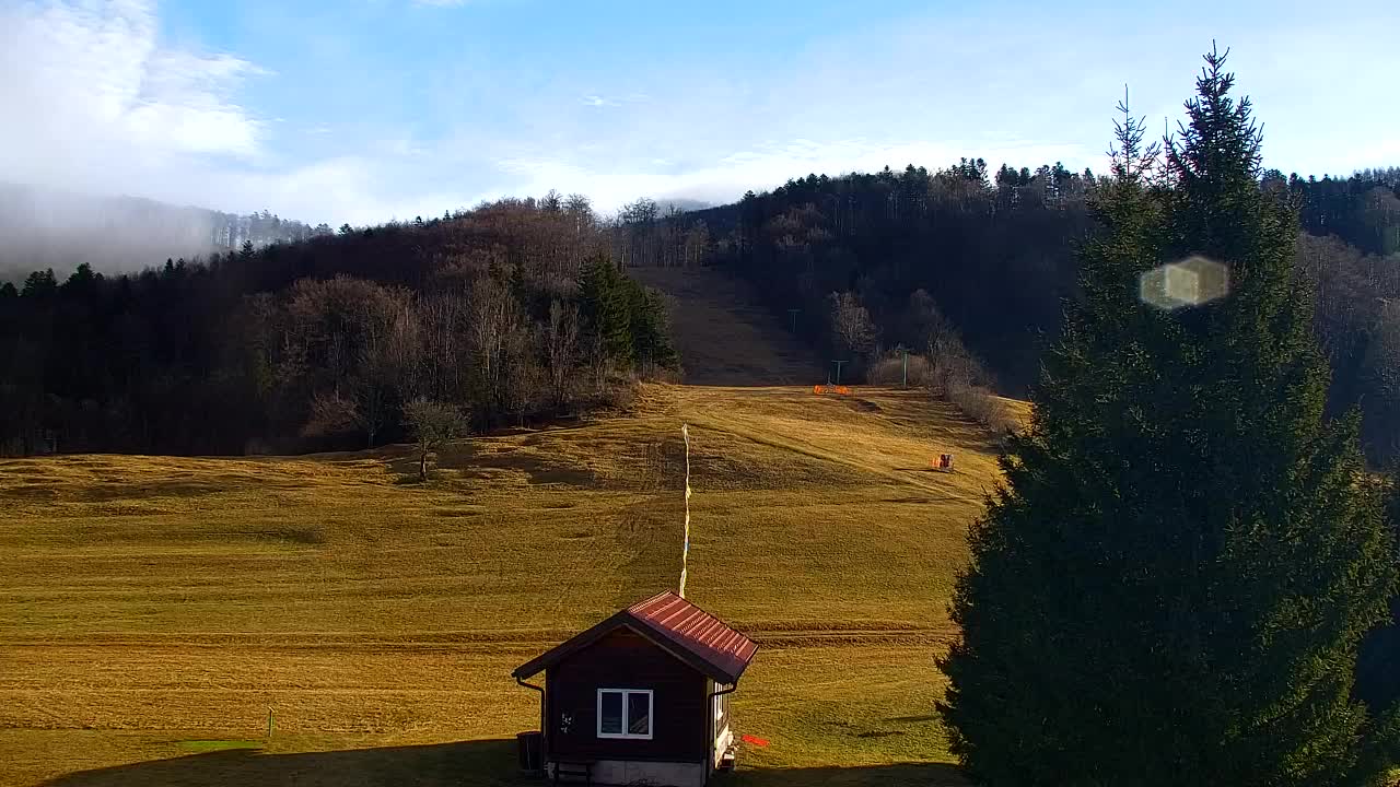 Webcam Lokve – The beauty of the Trnovo forest