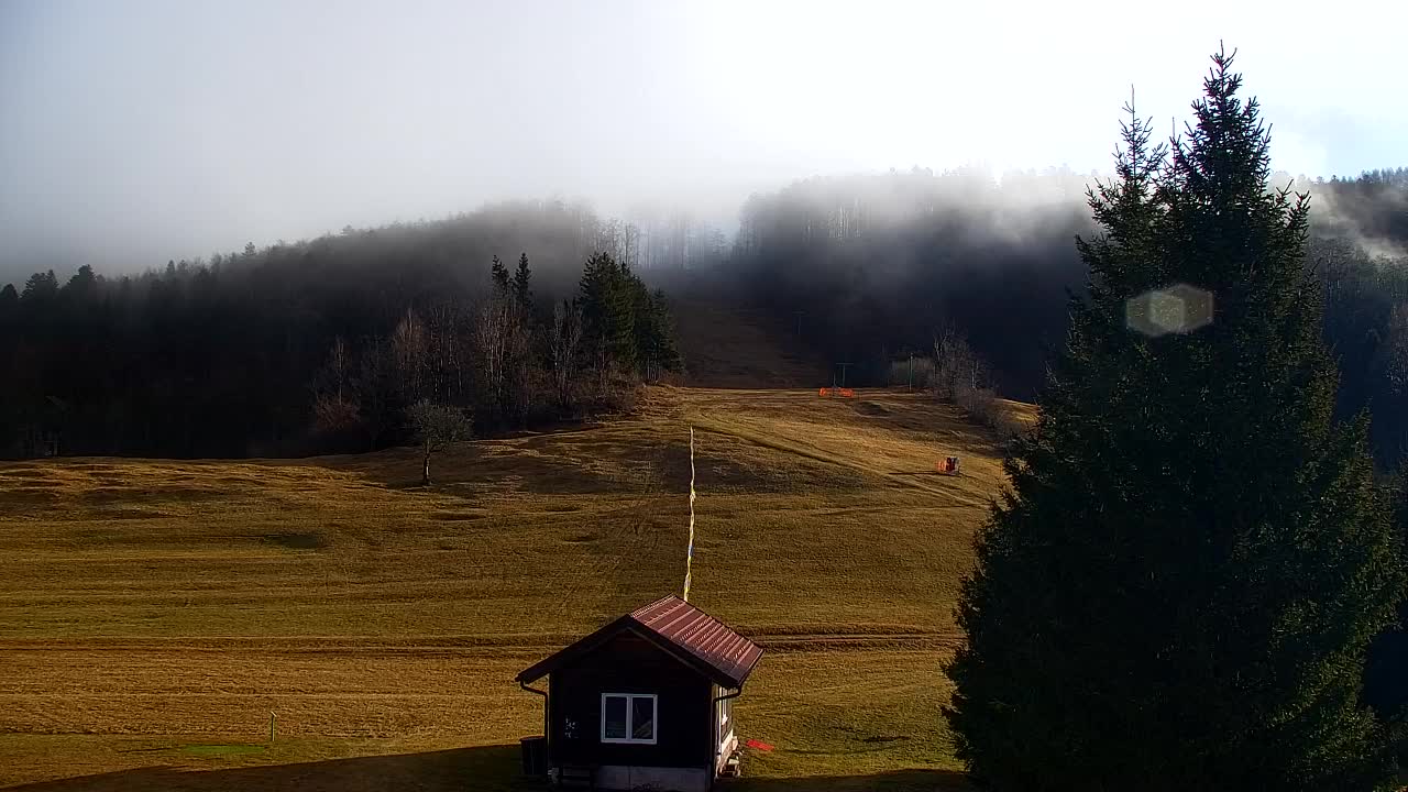 Webcam Lokve – La beauté de la forêt de Trnovo