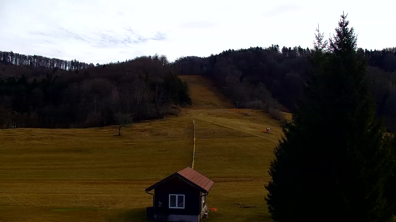 Webcam Lokve – The beauty of the Trnovo forest