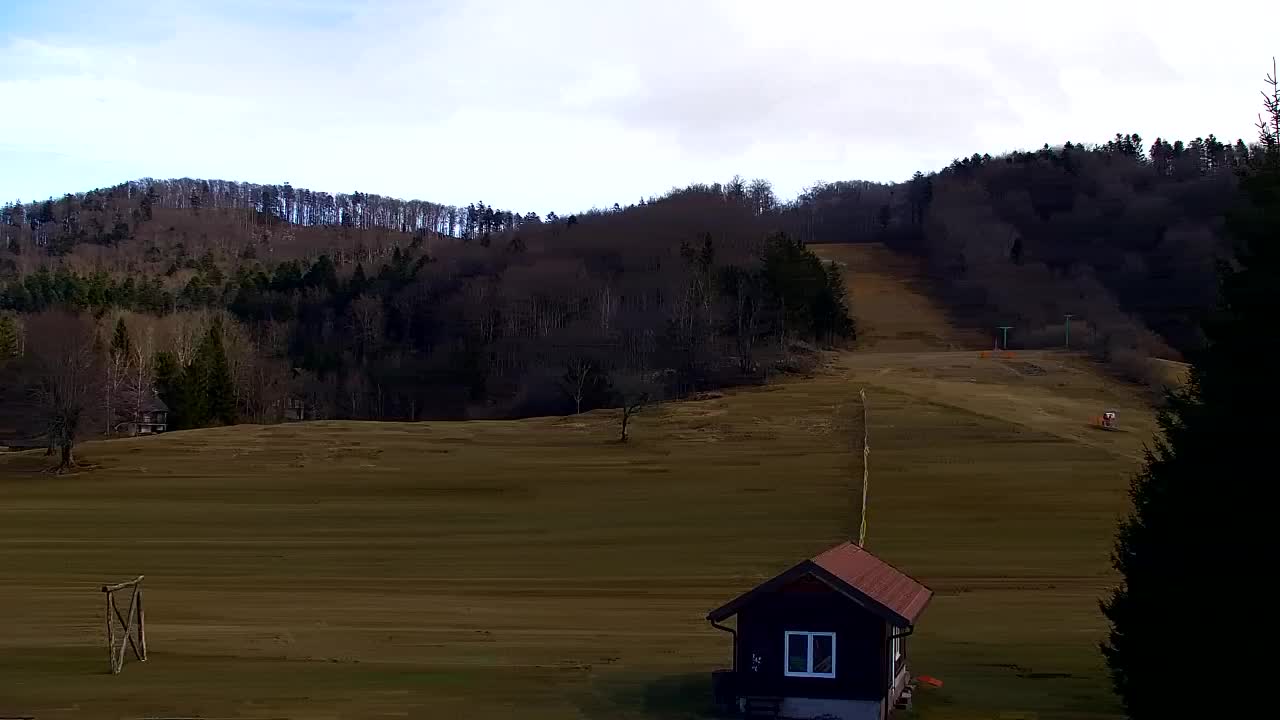 Webcam Lokve – The beauty of the Trnovo forest