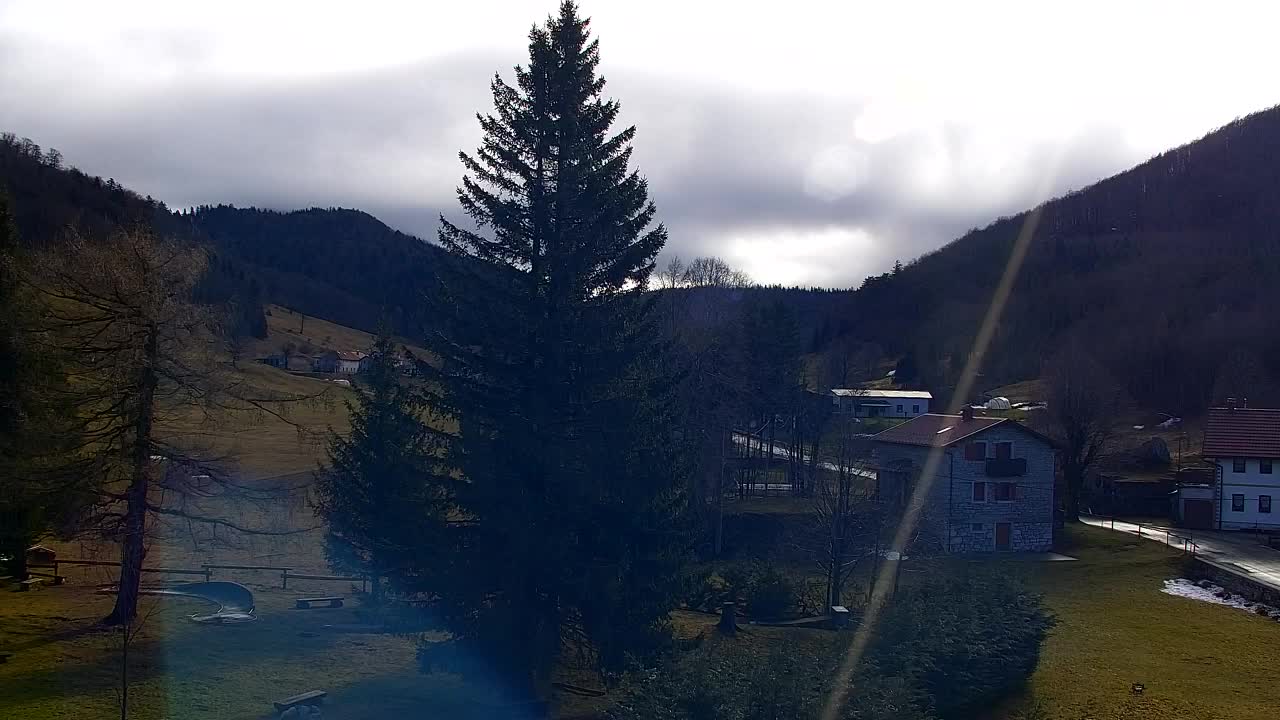 Webcam Lokve – La beauté de la forêt de Trnovo