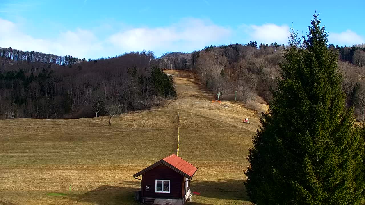 Webcam Lokve – La beauté de la forêt de Trnovo