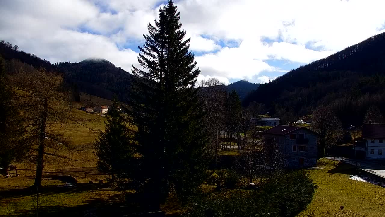 Webcam Lokve – La beauté de la forêt de Trnovo