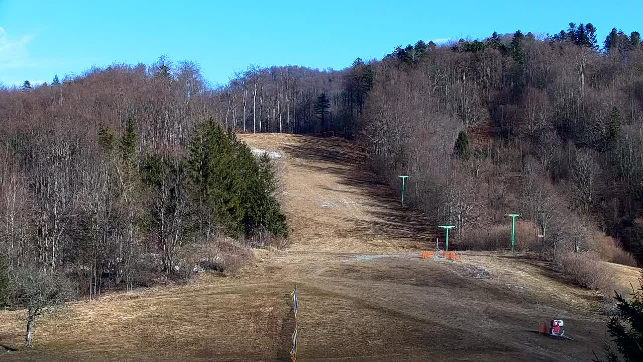 Webcam Lokve – La beauté de la forêt de Trnovo