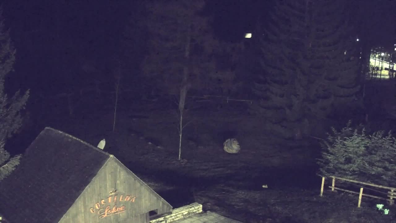 Webcam Lokve – La beauté de la forêt de Trnovo