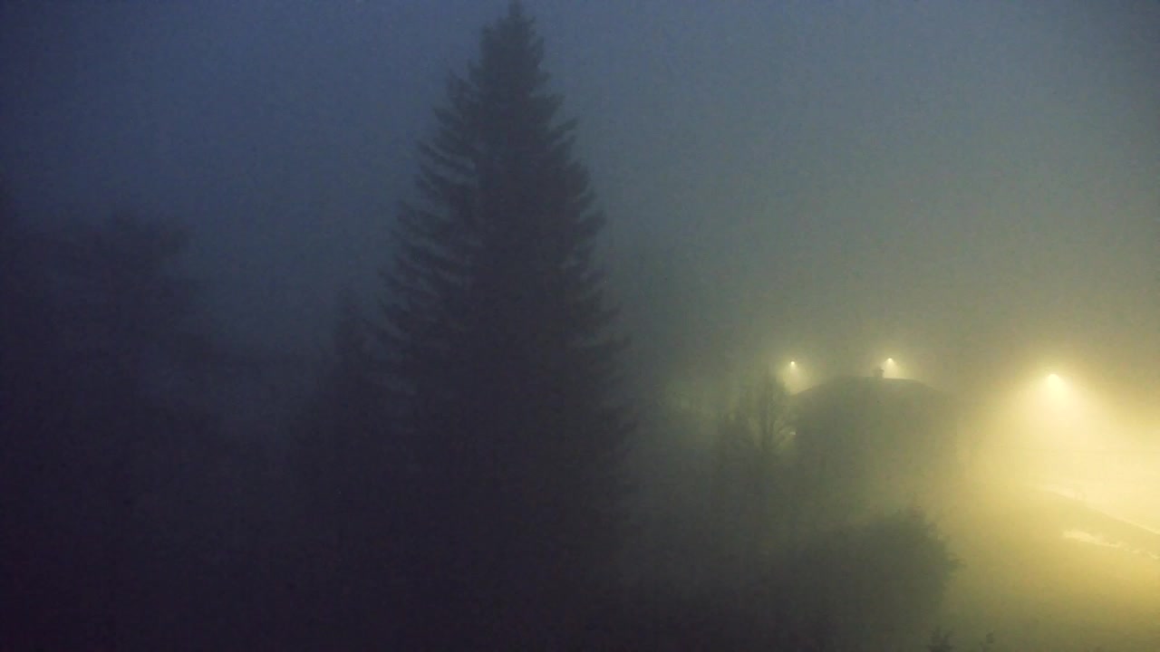 Webcam Lokve – La beauté de la forêt de Trnovo