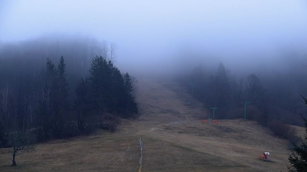 Webcam Lokve – The beauty of the Trnovo forest