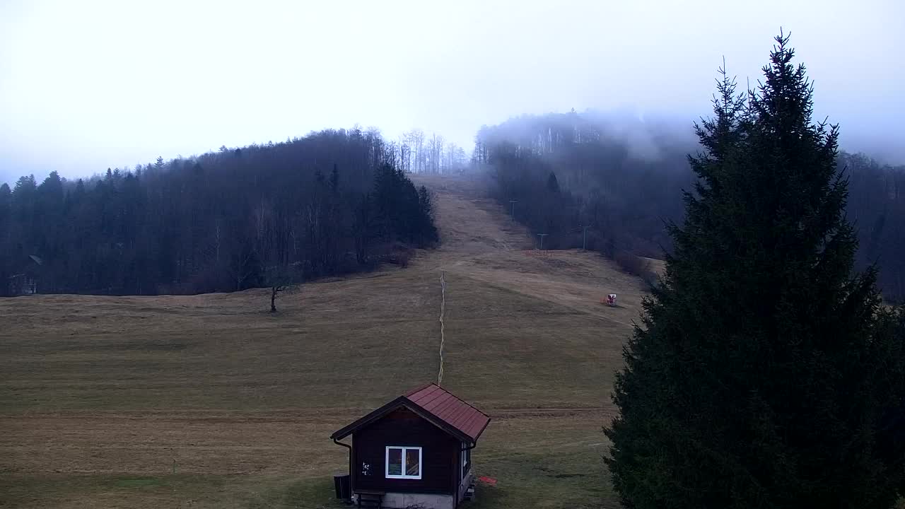 Camera en vivo Lokve – La belleza del bosque de Trnovo