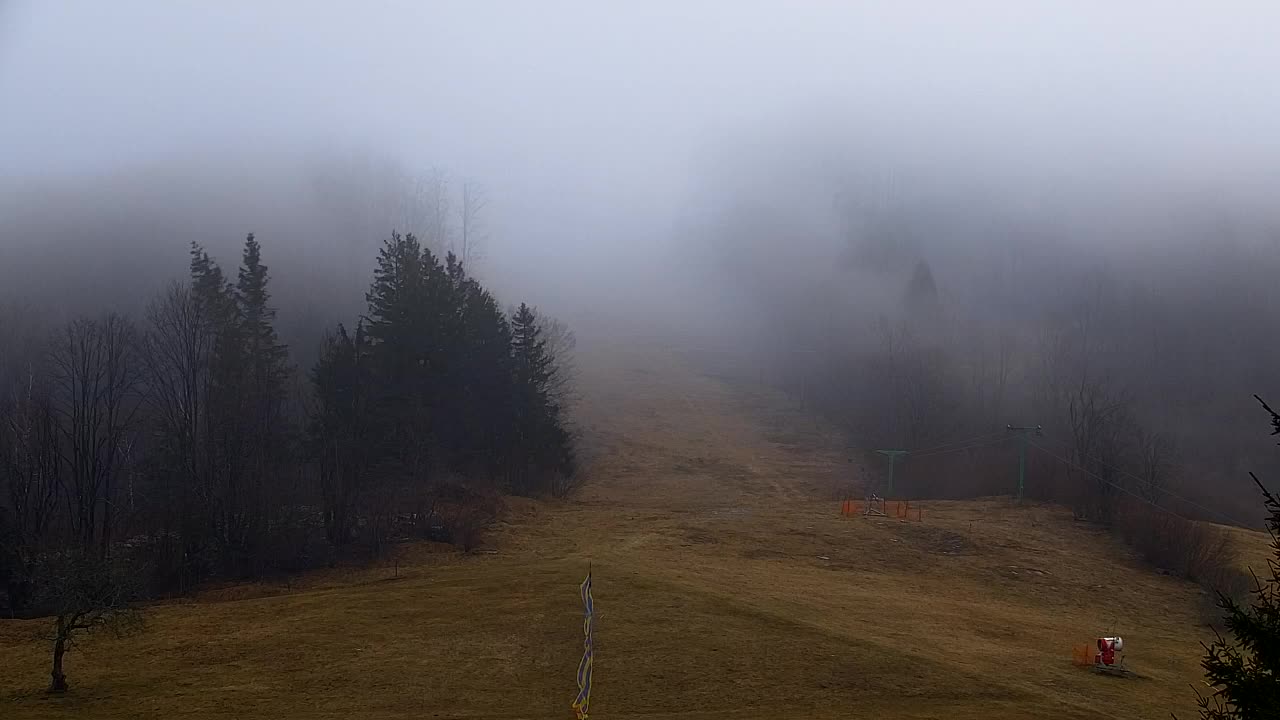 Webcam Lokve – The beauty of the Trnovo forest