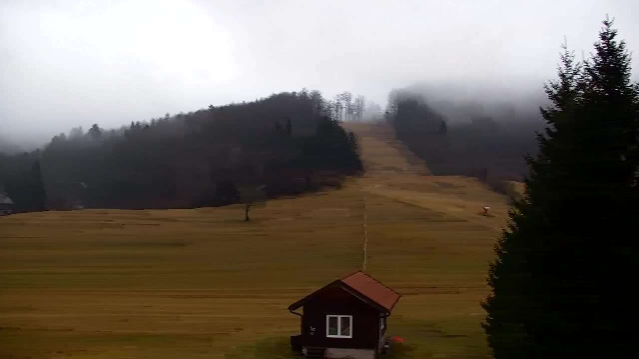 Webcam Lokve – The beauty of the Trnovo forest