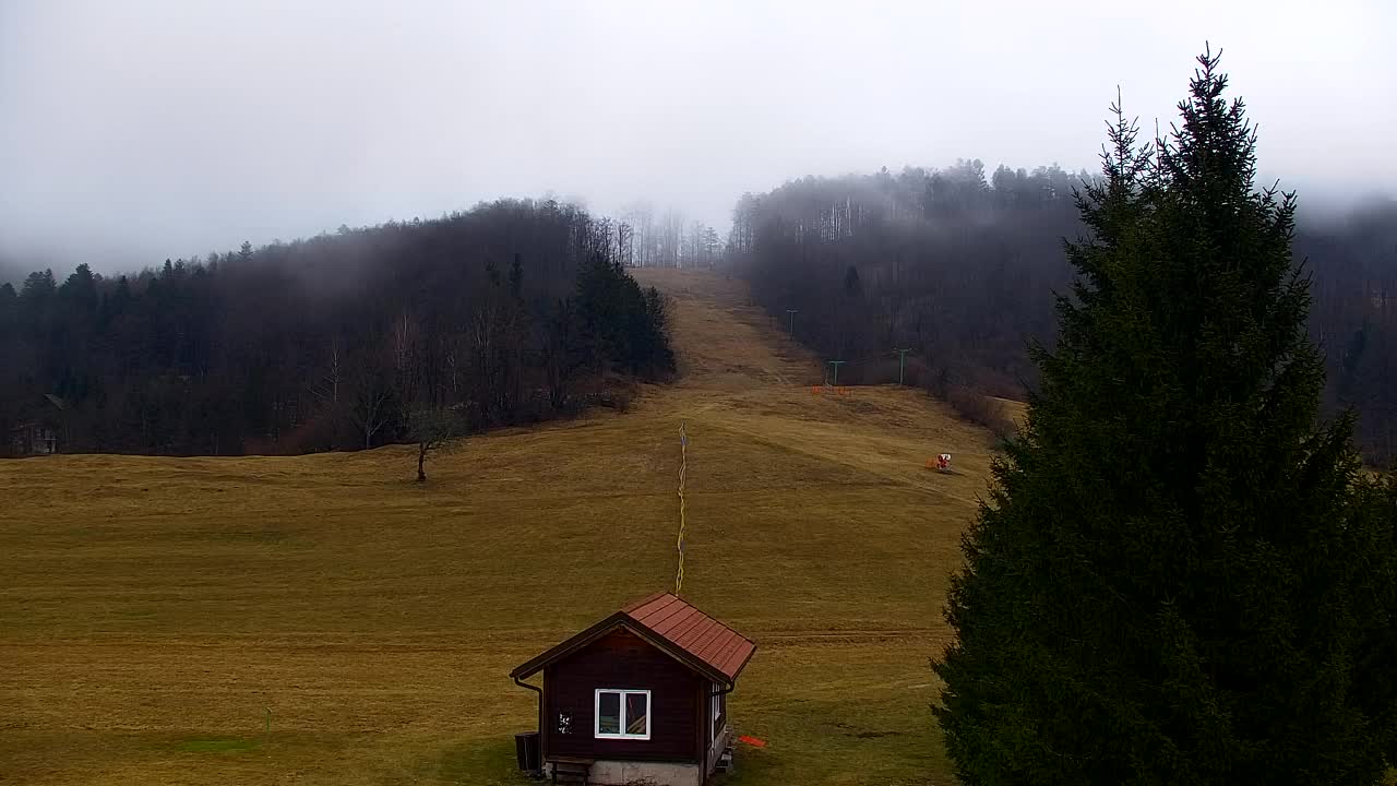 Webcam Lokve – Die Schönheit des Trnovo-Waldes