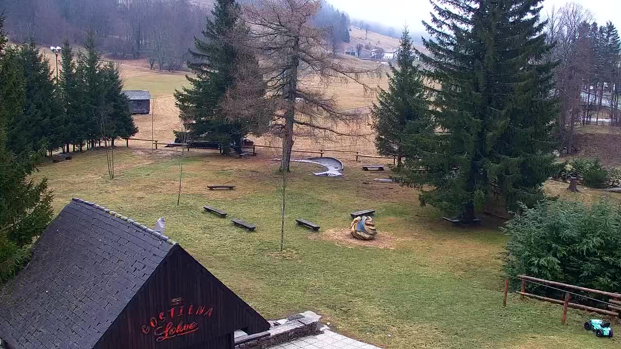 Webcam Lokve – La beauté de la forêt de Trnovo