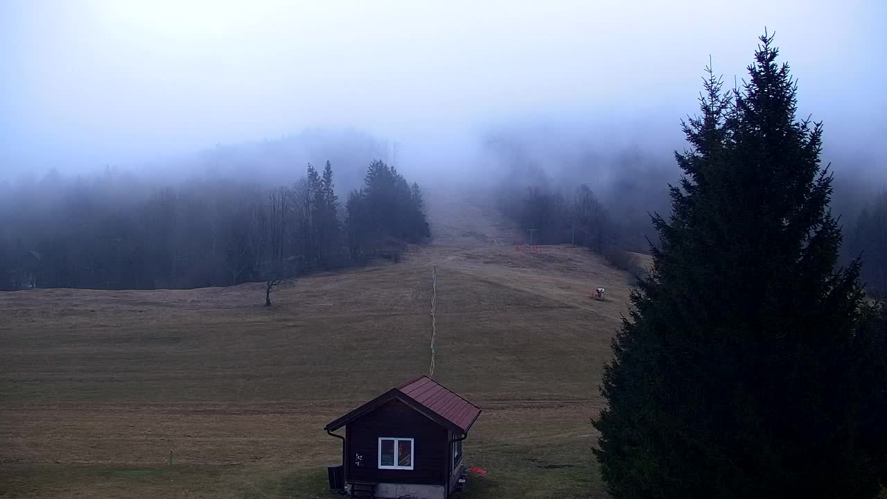 Webcam Lokve – La beauté de la forêt de Trnovo