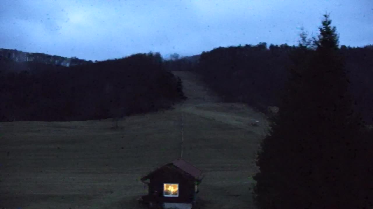 Webcam Lokve – La beauté de la forêt de Trnovo