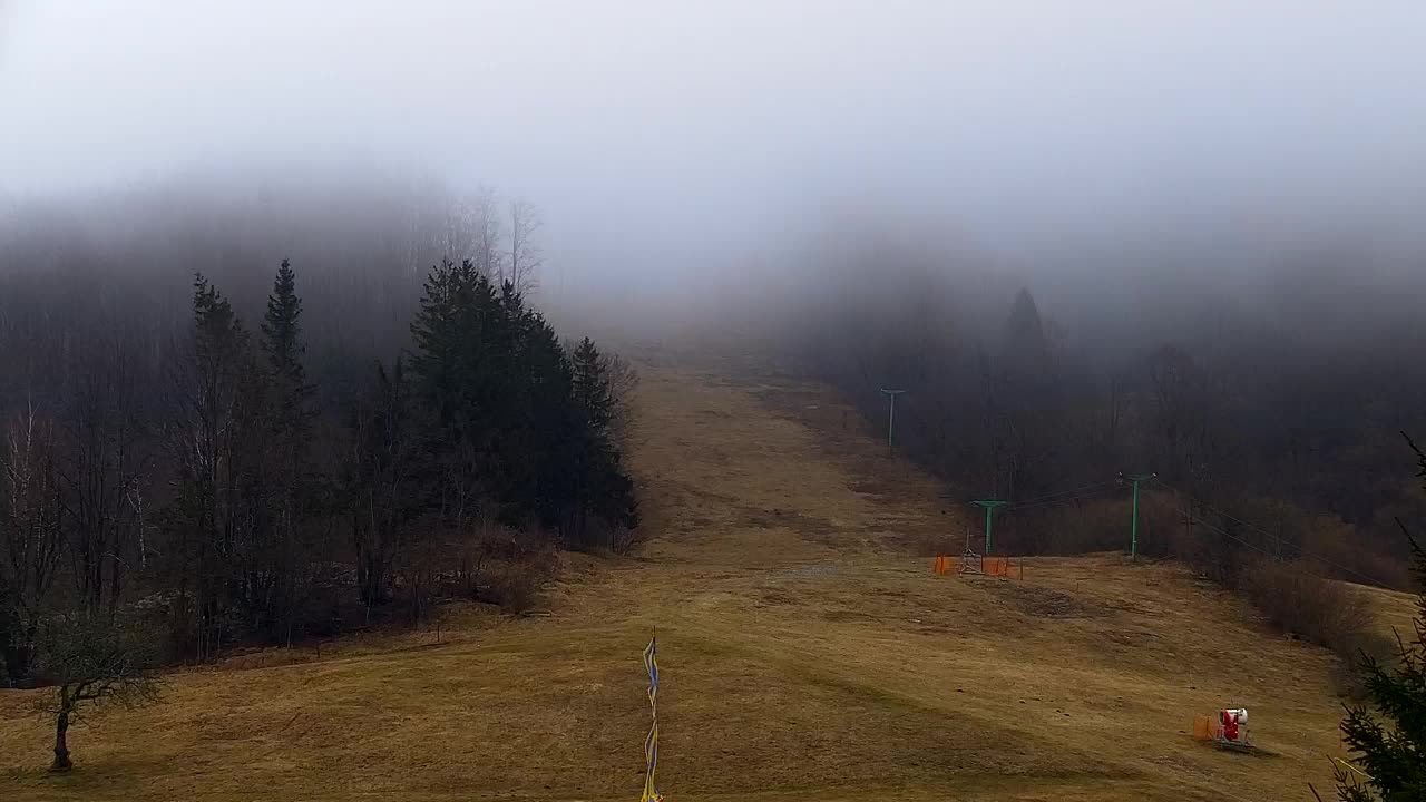 Webcam Lokve – The beauty of the Trnovo forest