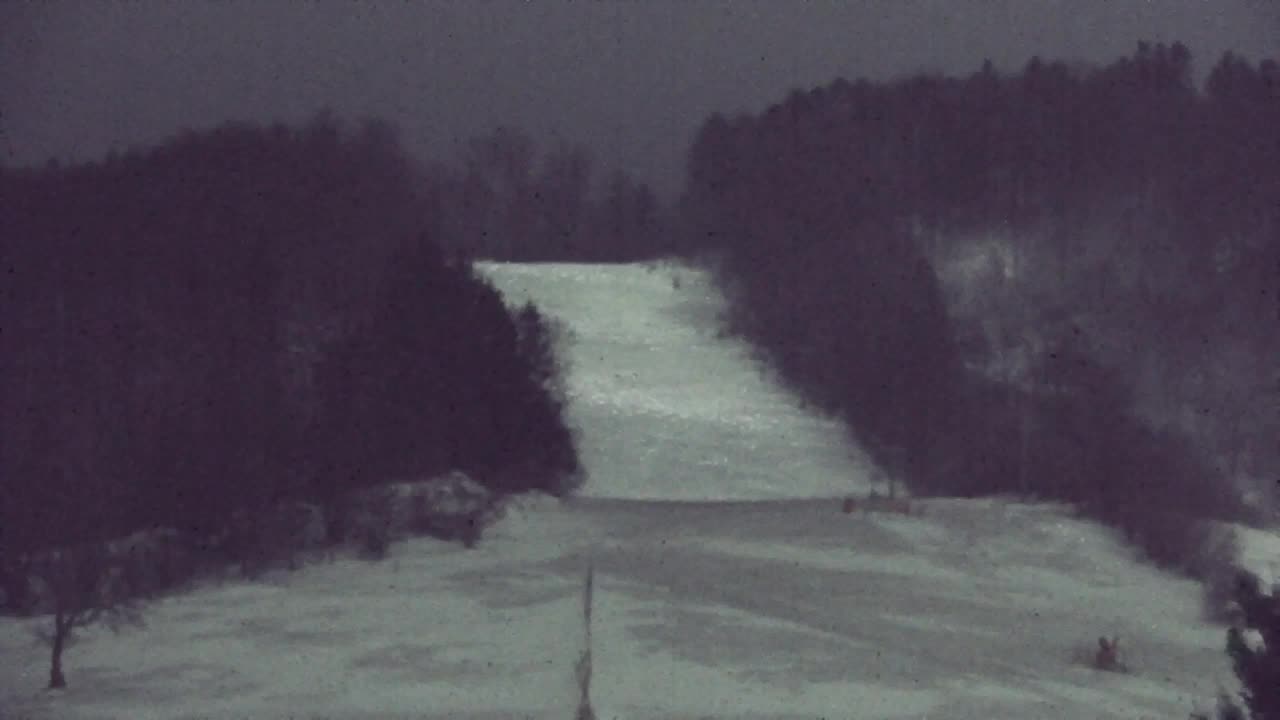 Webcam Lokve – The beauty of the Trnovo forest