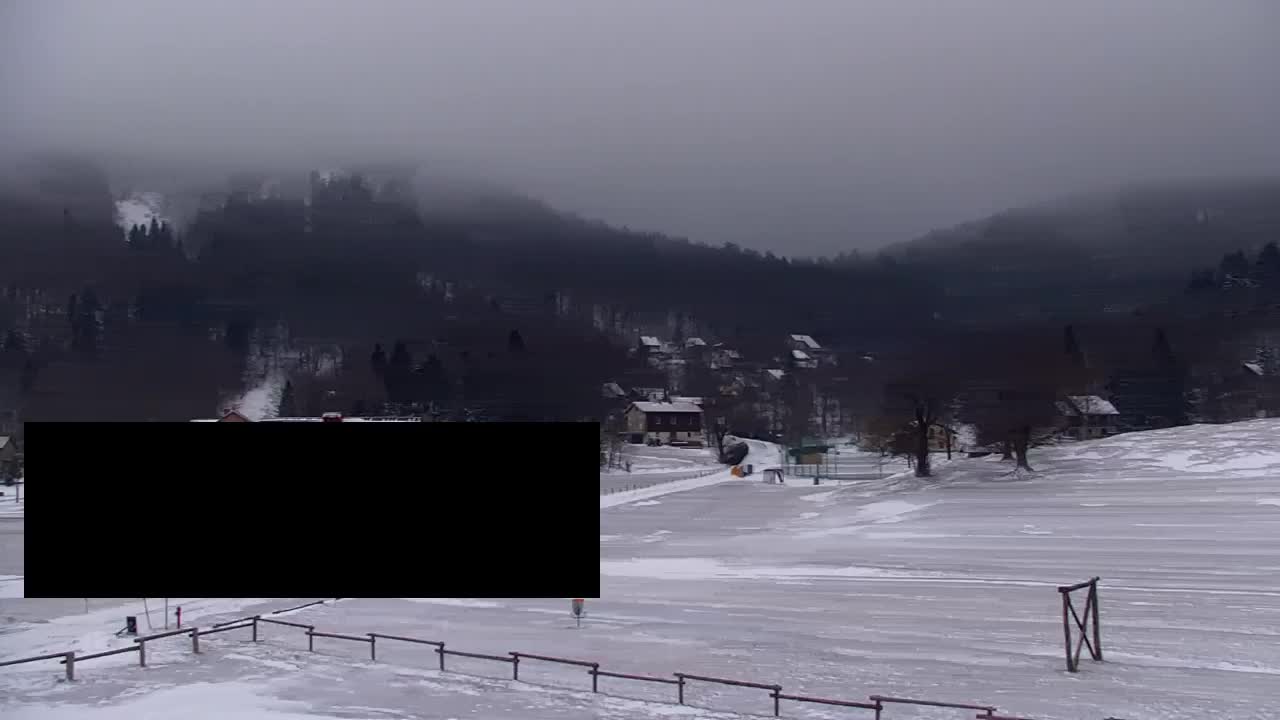 Webcam Lokve – La beauté de la forêt de Trnovo