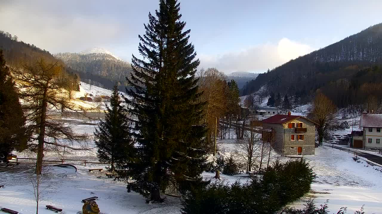 Webcam Lokve – La beauté de la forêt de Trnovo