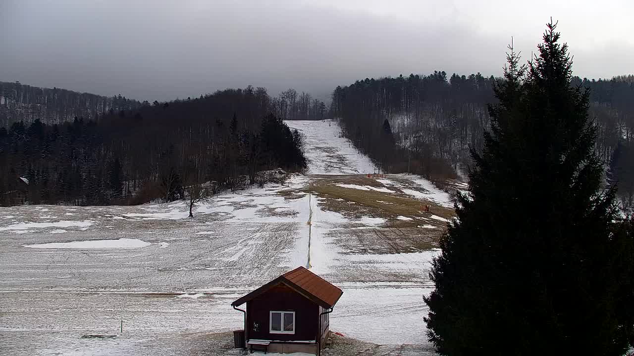 Webcam Lokve – The beauty of the Trnovo forest