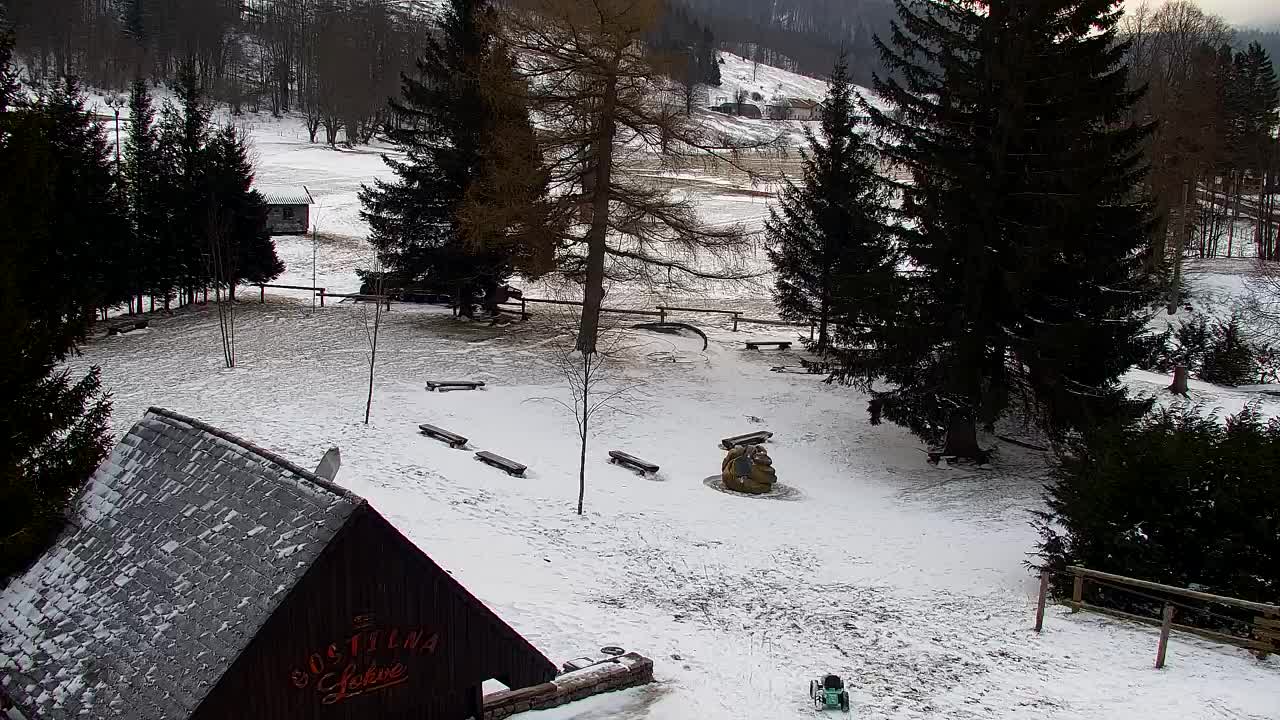 Webcam Loqua / Lokve – La bellezza della selva di Tarnova