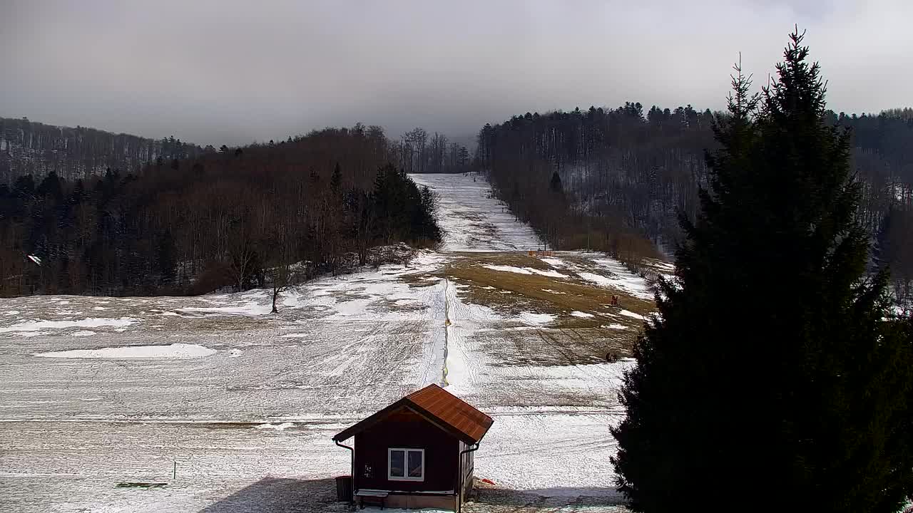 Webcam Lokve – La beauté de la forêt de Trnovo