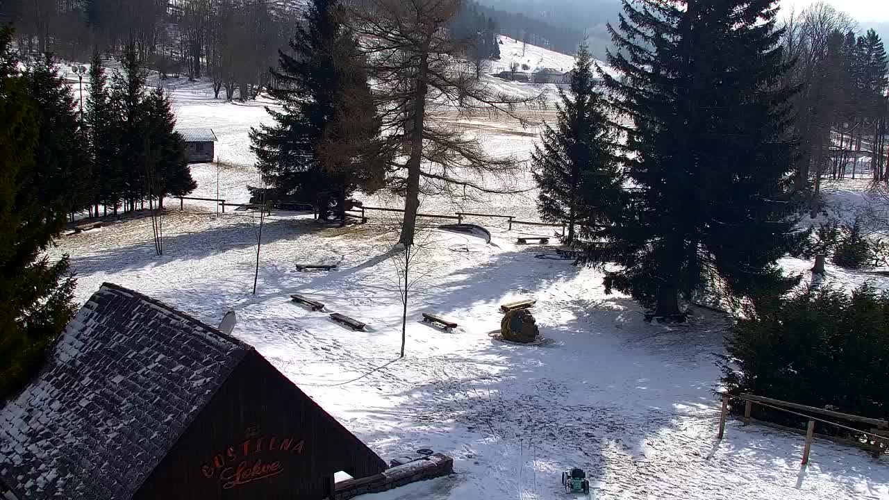 Webcam Lokve – La beauté de la forêt de Trnovo