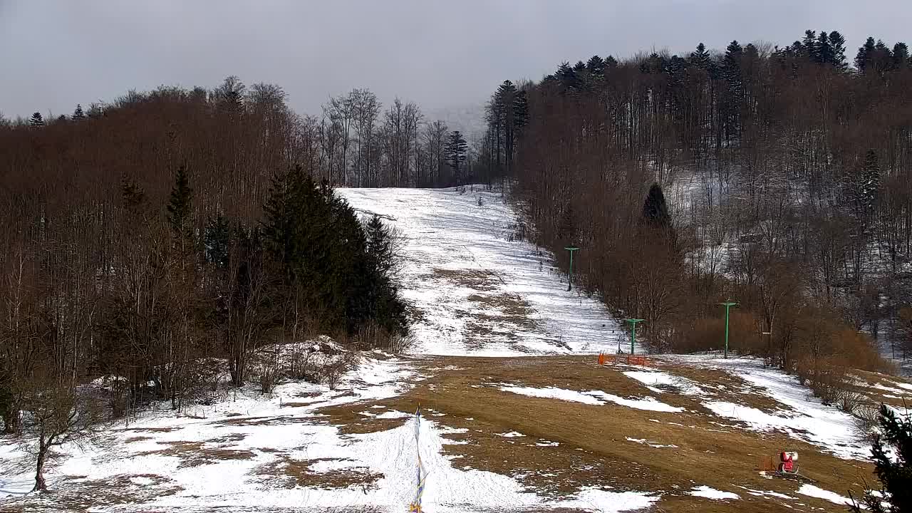 Webcam Lokve – La beauté de la forêt de Trnovo