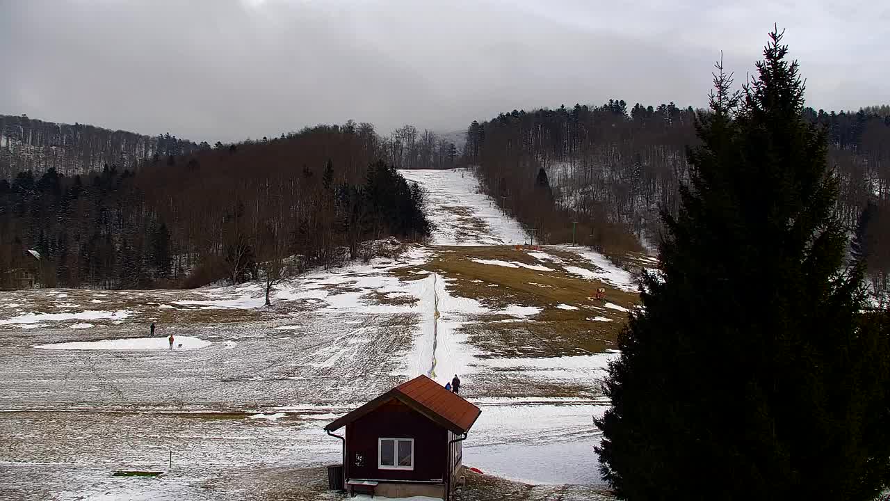 Webcam Lokve – La beauté de la forêt de Trnovo