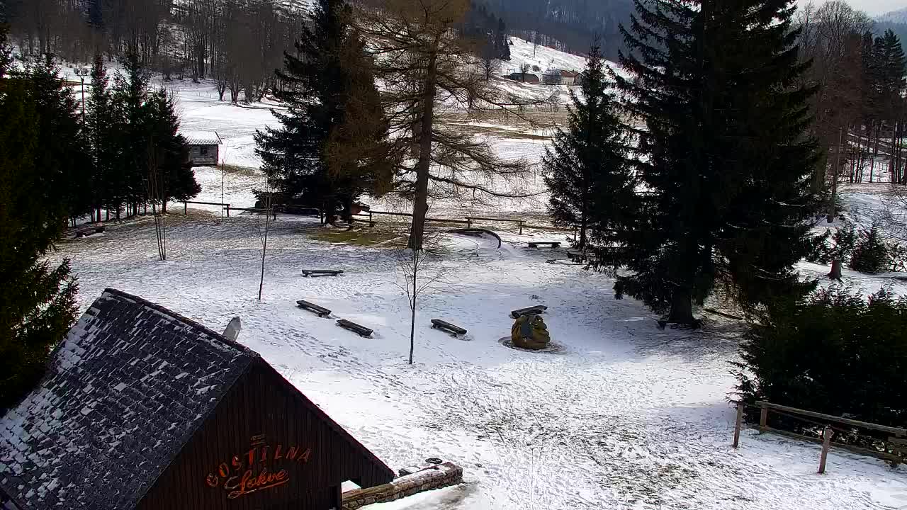 Webcam Lokve – La beauté de la forêt de Trnovo