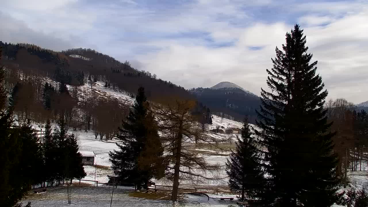 Webcam Lokve – La beauté de la forêt de Trnovo