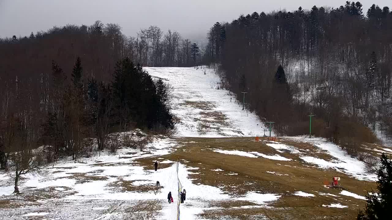 Webcam Lokve – La beauté de la forêt de Trnovo