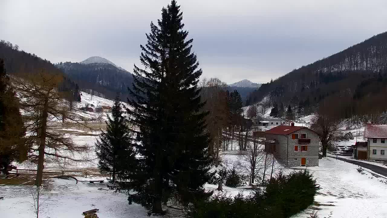 Webcam Lokve – Die Schönheit des Trnovo-Waldes