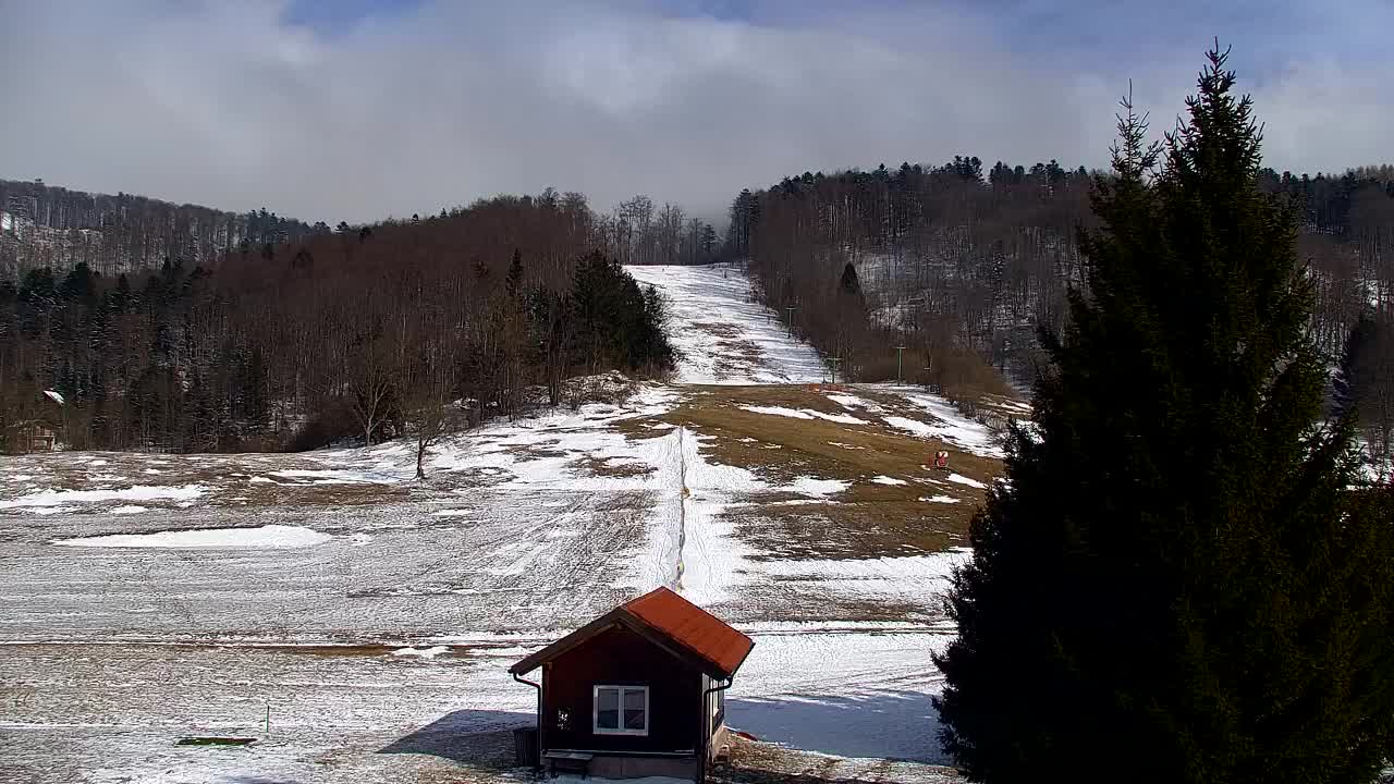 Webcam Lokve – The beauty of the Trnovo forest