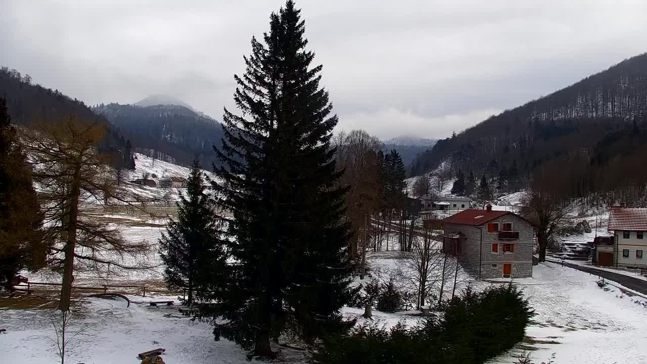 Webcam Lokve – The beauty of the Trnovo forest