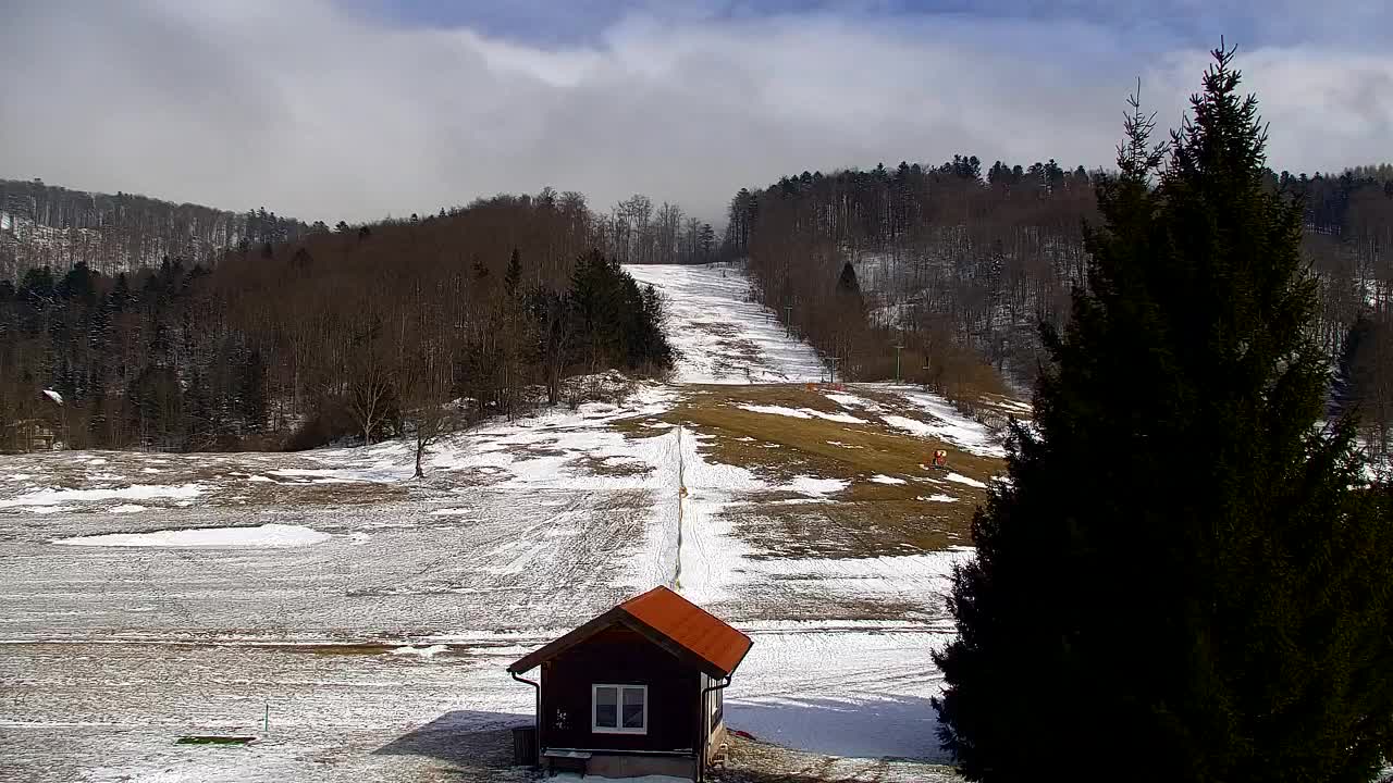 Webcam Loqua / Lokve – La bellezza della selva di Tarnova