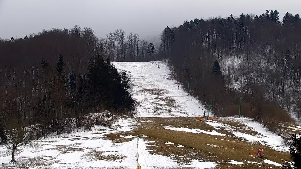 Webcam Loqua / Lokve – La bellezza della selva di Tarnova