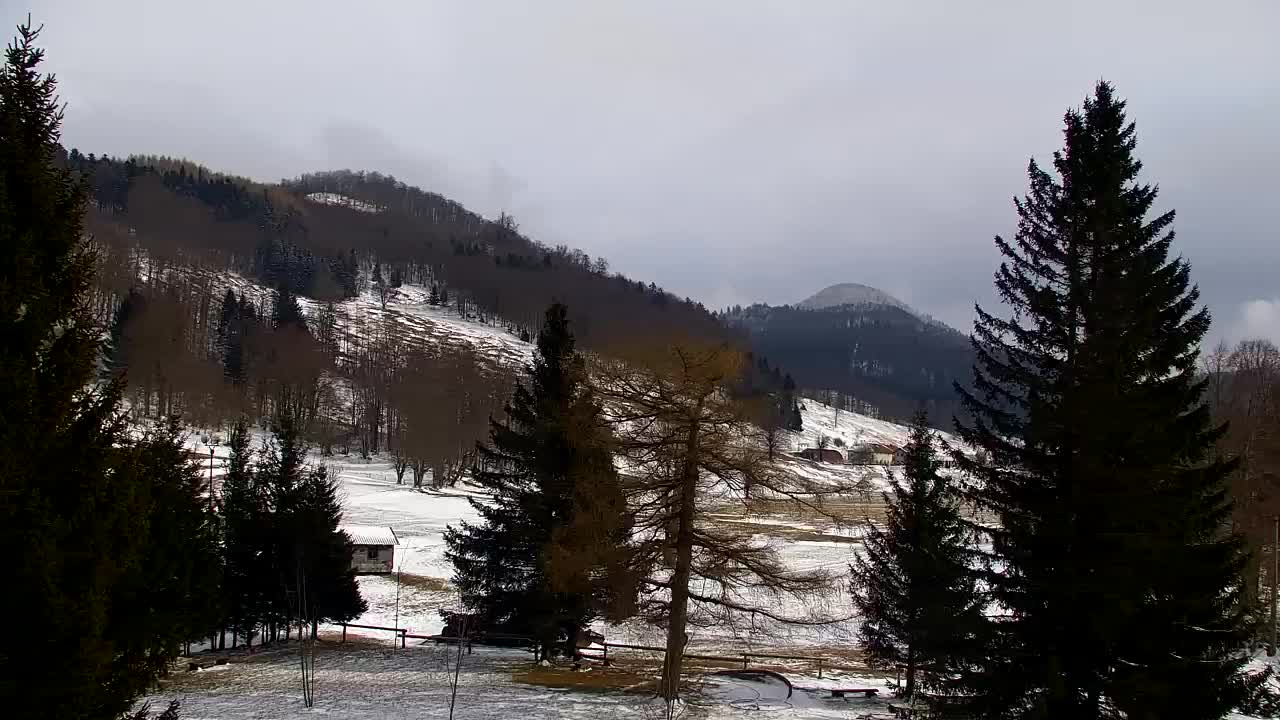 Webcam Lokve – La beauté de la forêt de Trnovo