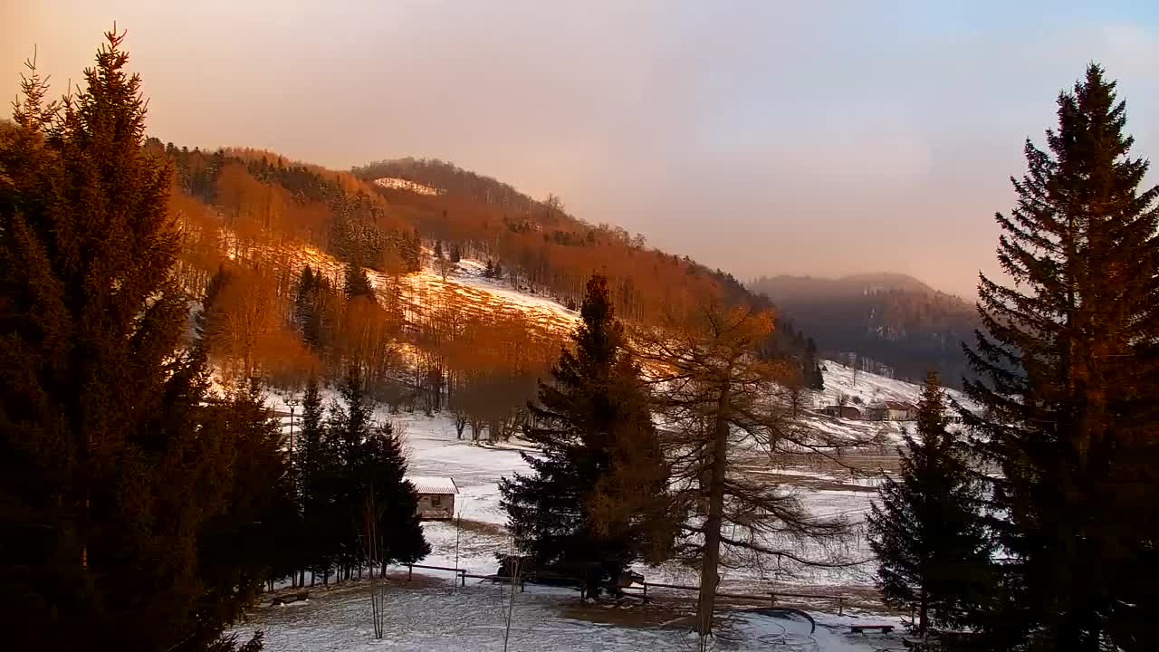 Webcam Lokve – La beauté de la forêt de Trnovo