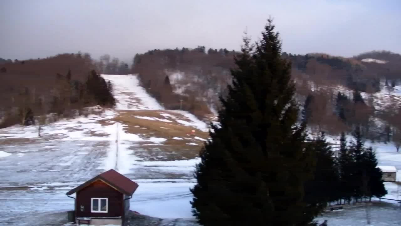 Webcam Lokve – La beauté de la forêt de Trnovo