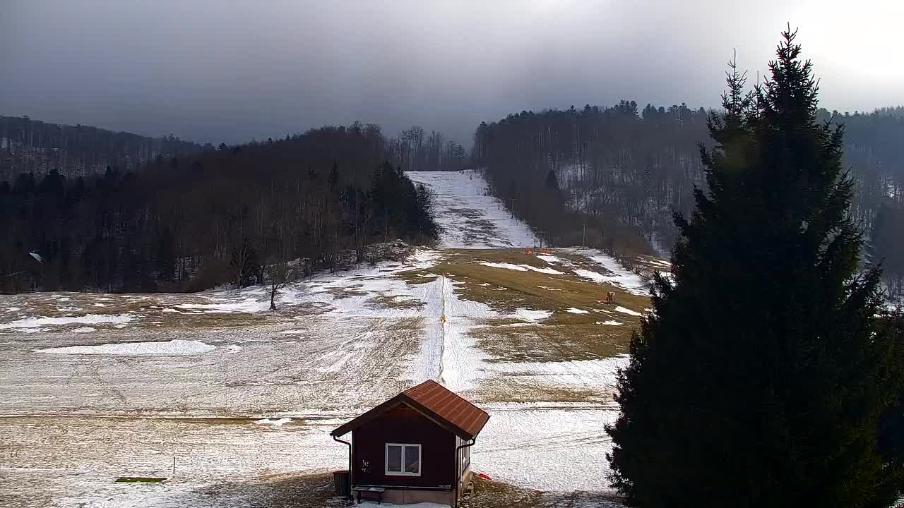 Webcam Lokve – Die Schönheit des Trnovo-Waldes