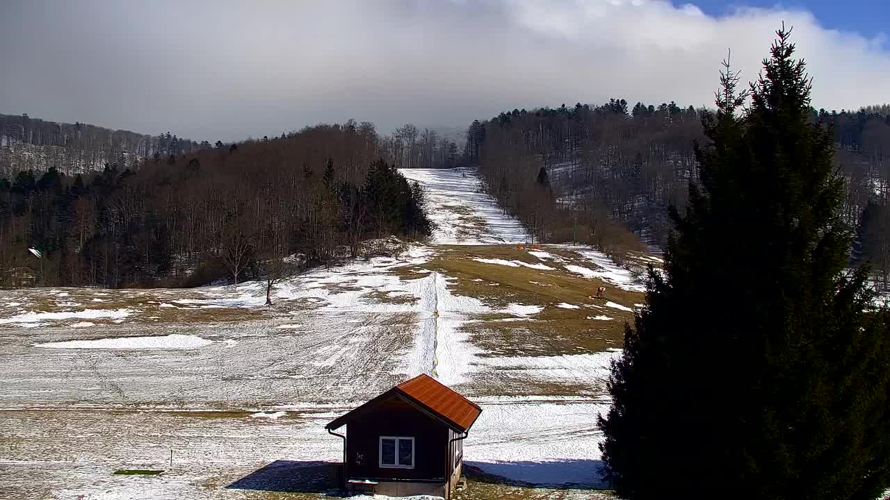 Webcam Lokve – La beauté de la forêt de Trnovo