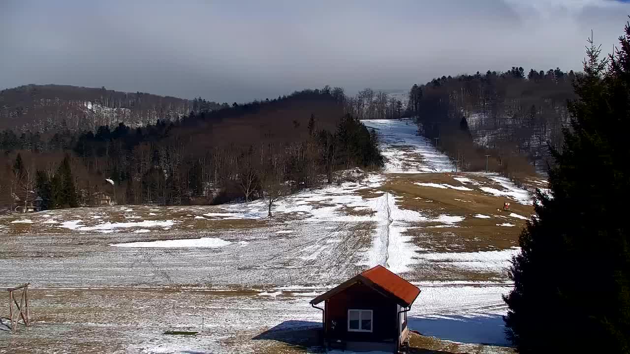 Webcam Lokve – The beauty of the Trnovo forest