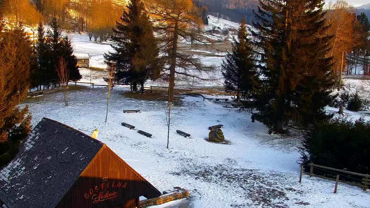 Webcam Loqua / Lokve – La bellezza della selva di Tarnova